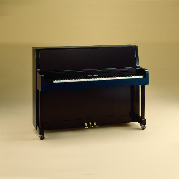 pianino Charles Walter Studio