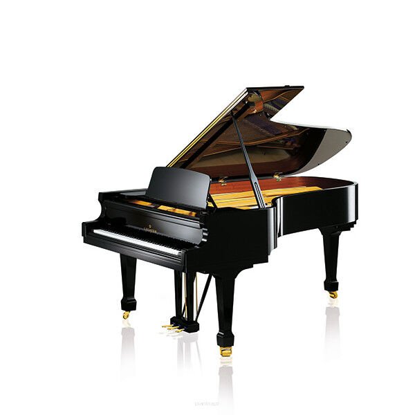 fortepian C. Bechstein A 228